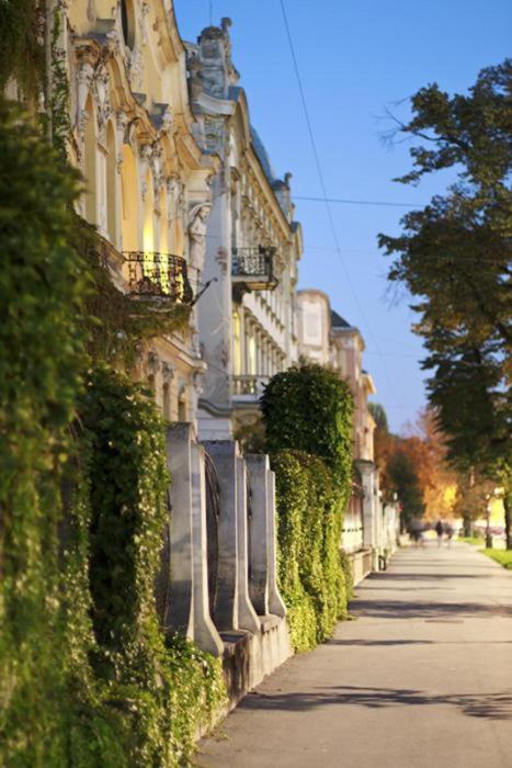 Konzul -Top Apartment, Strict Center, Parking Ösek Dış mekan fotoğraf